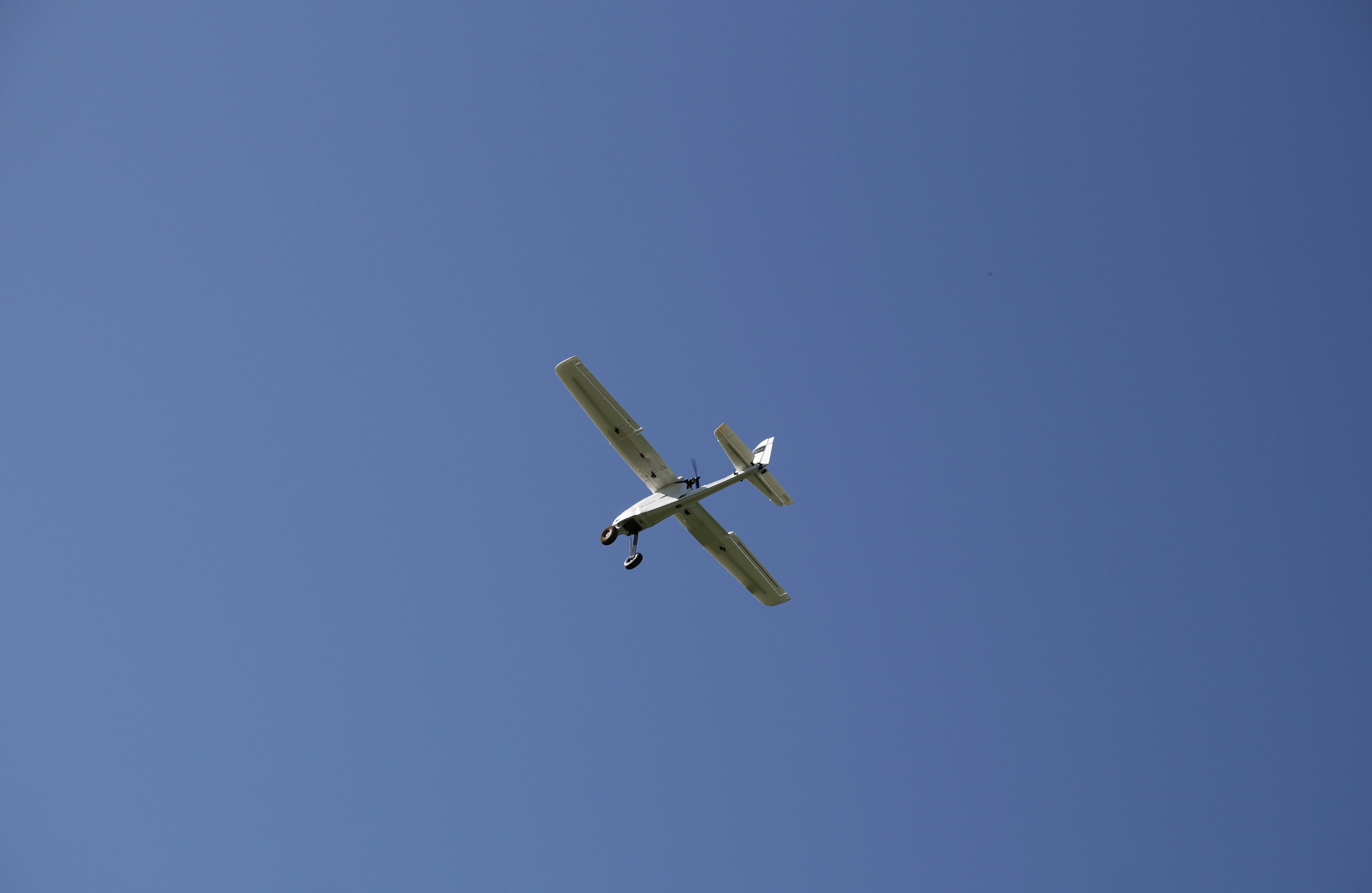 Phoenix Sky